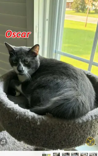 Little Oscar AND Nellie