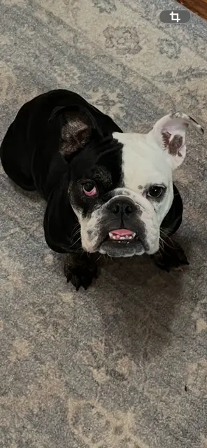 Winnie