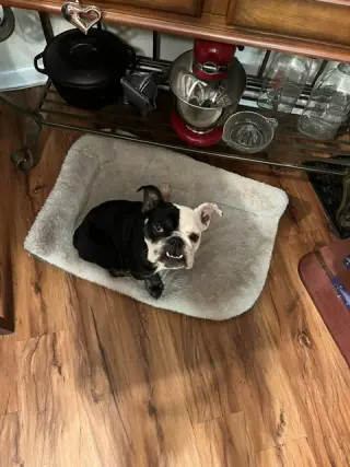 Winnie