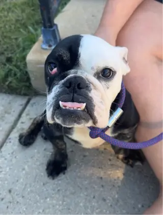 Winnie