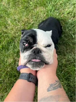 Winnie