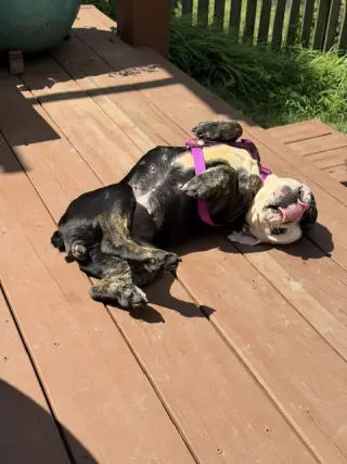 Winnie