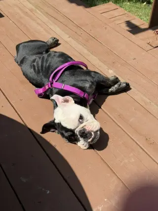Winnie