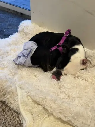 Winnie
