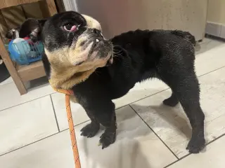 Winnie