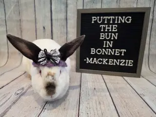 Mackenzie