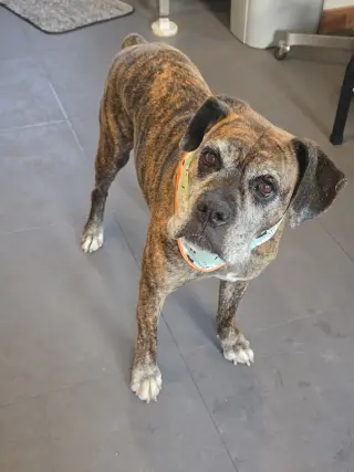 Penny