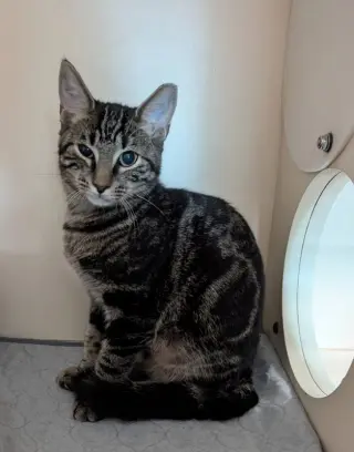 Pablo