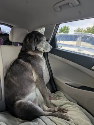 Big Boy Boston