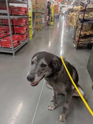Big Boy Boston