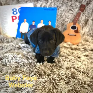 Baby Faye Webster