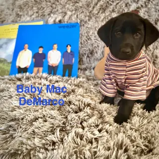 Baby Mac DeMarco
