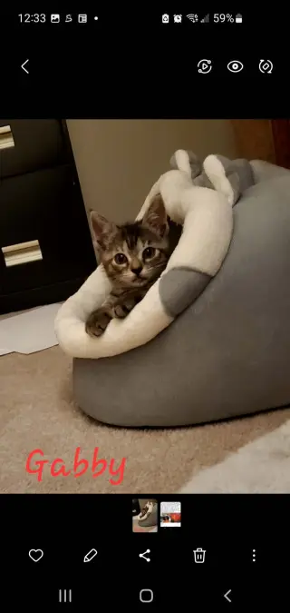 Gabby & Georgie