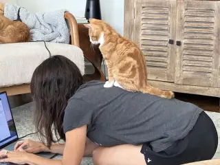 Ozzy =^.^=