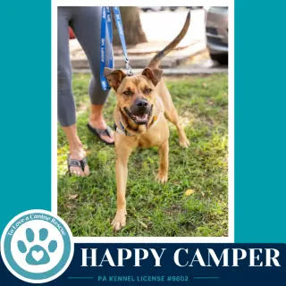 Happy Camper 082226