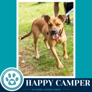 Happy Camper 082226