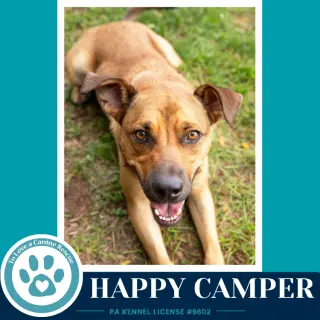 Happy Camper 082226