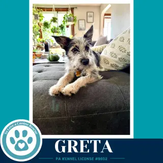 Greta (Gee Pups) 082226