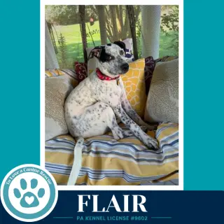Flair (Speckled Six) 082226
