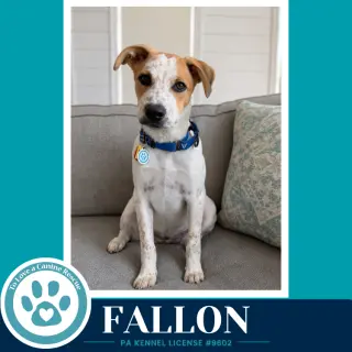 Fallon (Speckled Six) 082226