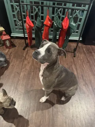CD:Ruger