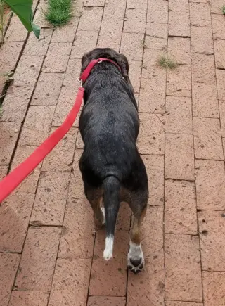 Lucy-loo