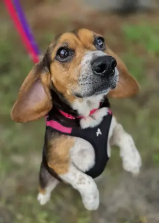 Lucy-loo