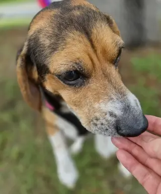 Lucy-loo