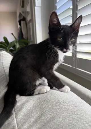 Lucky