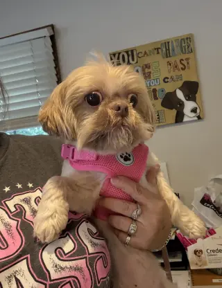 Nala