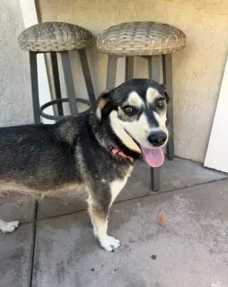 Heidi