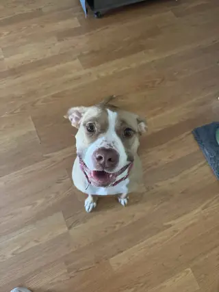 Macy May