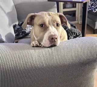 Macy May