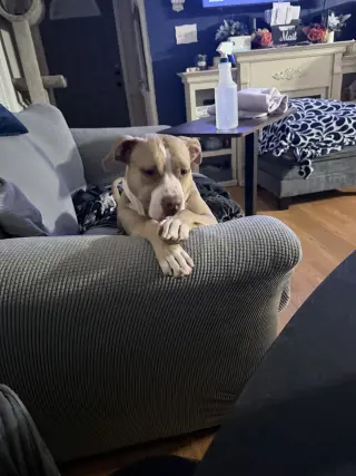 Macy May