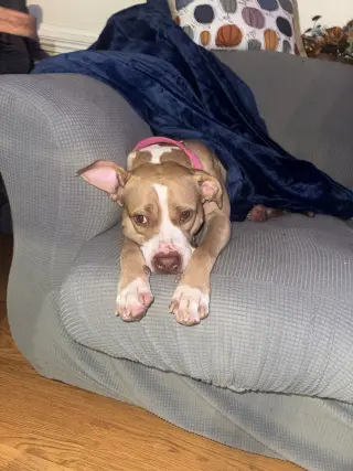 Macy May