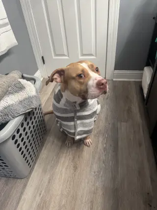 Macy May