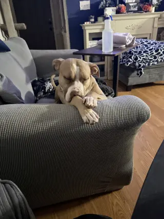 Macy May
