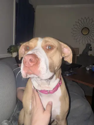 Macy May
