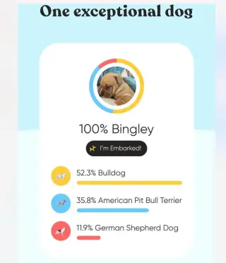 Bennet