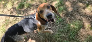 Leroy Jenkins