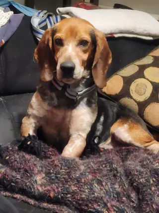 Leroy Jenkins