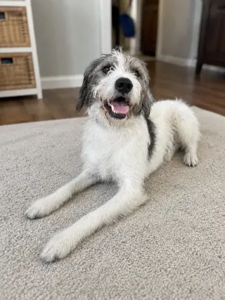 CORKY