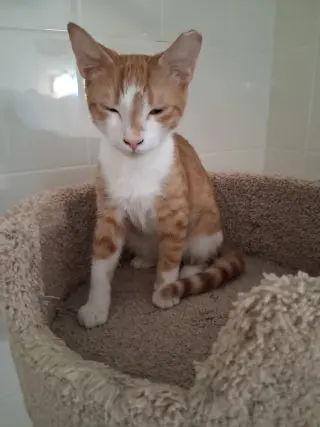 Walter