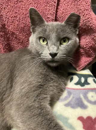 Janice