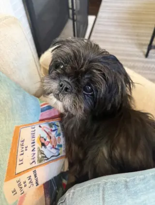 Simone