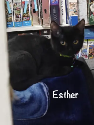 Esther