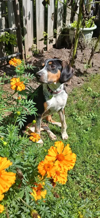 Mable - BO