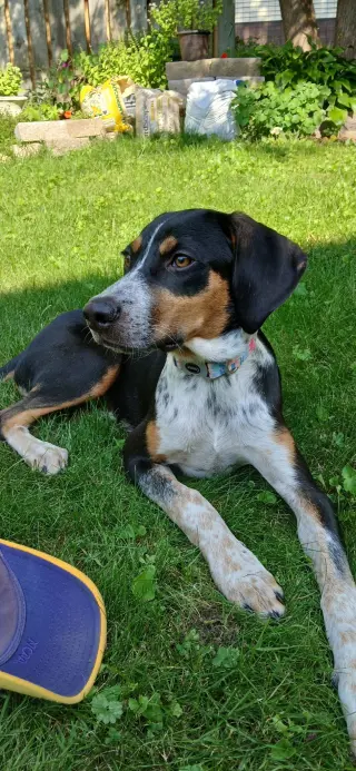 Mable - BO