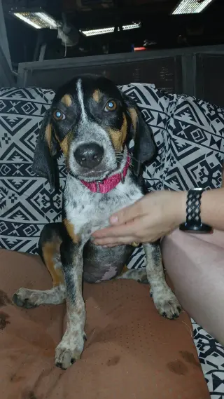 Mable - BO