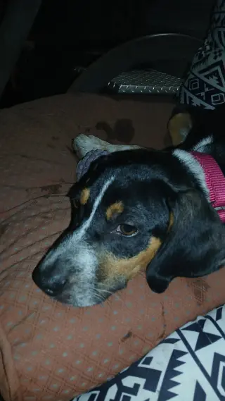 Mable - BO
